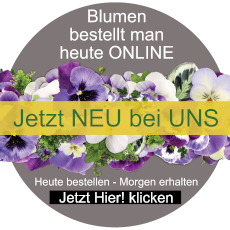 Online-Shop